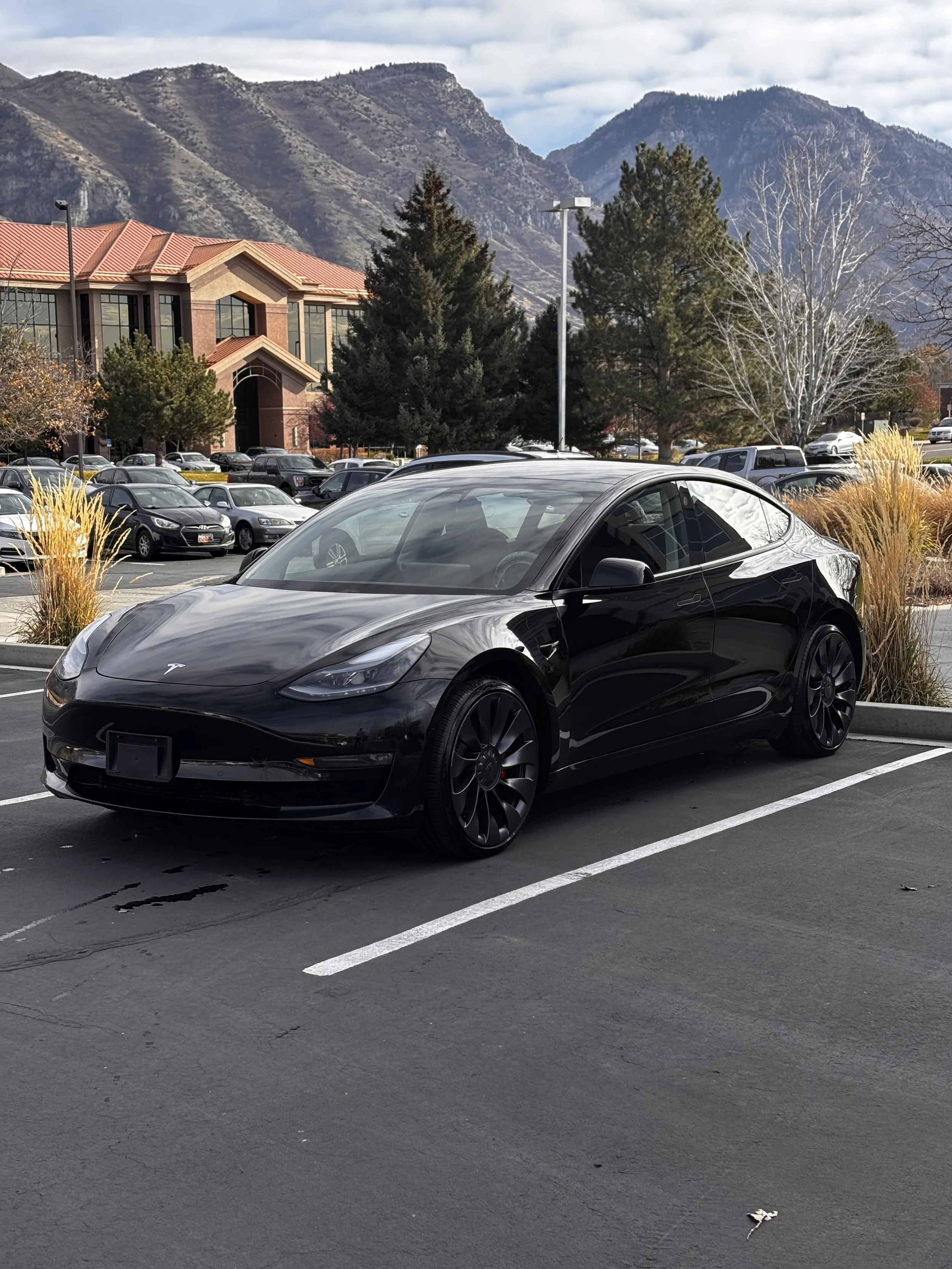 Black Tesla wash and wax exterior detail in Lehi, Utah by Wild Detail.