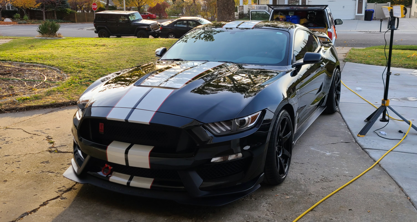 A black sports car with racing stripes parked in a driveway next to a yard and street with wild detail.