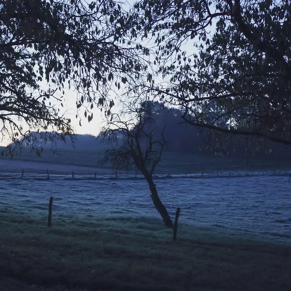 Zur&uuml;ck am Schreibtisch nach einem Wochenende voller gesprochener Worte und Werbung machen, ist es gerade Richtig sch&ouml;n, die Ruhe zu genie&szlig;en. 
Kakao trinken, W&ouml;rter f&uuml;r den November z&auml;hlen, Ideen flie&szlig;en lassen.

