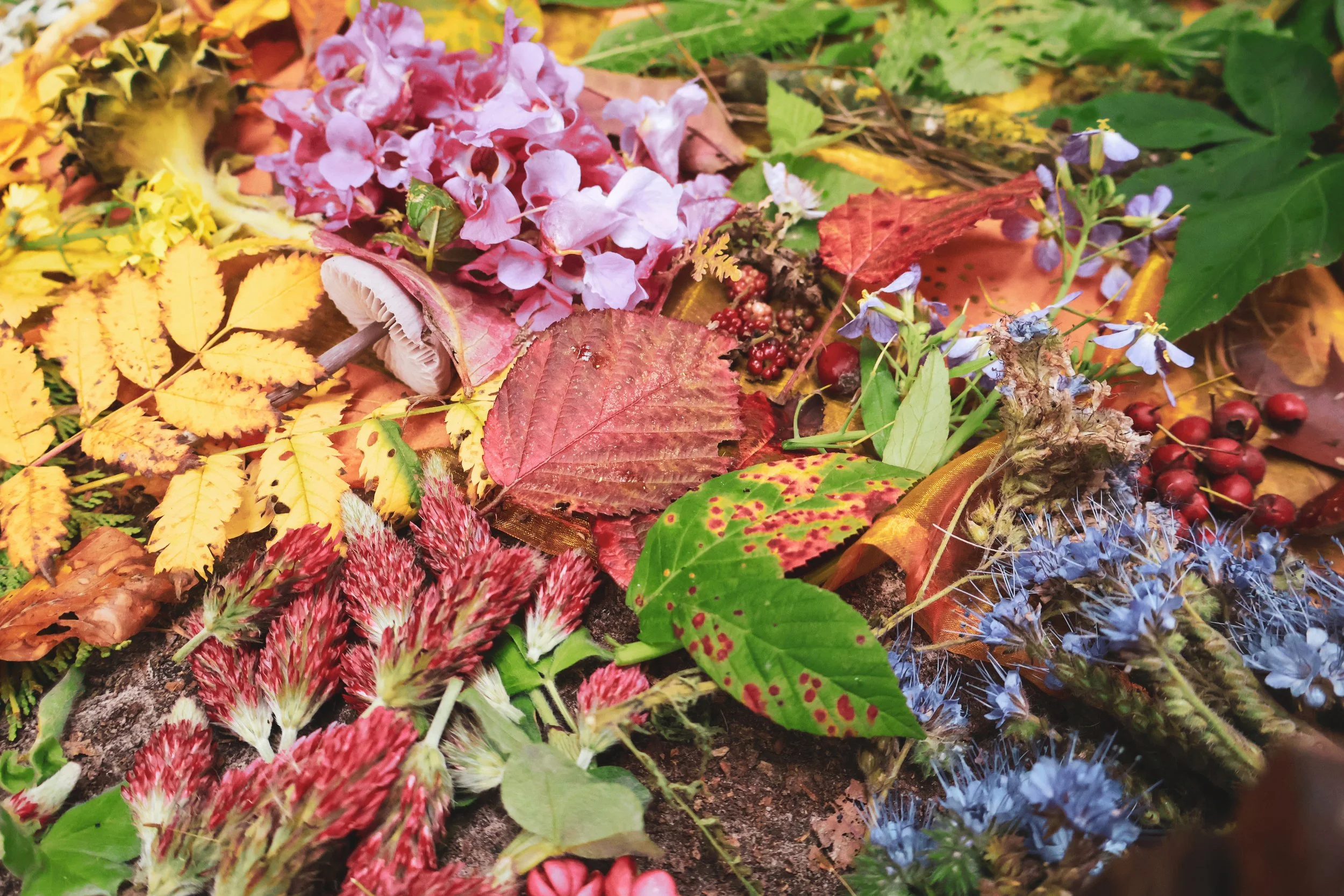 Herbstfarben entdecken