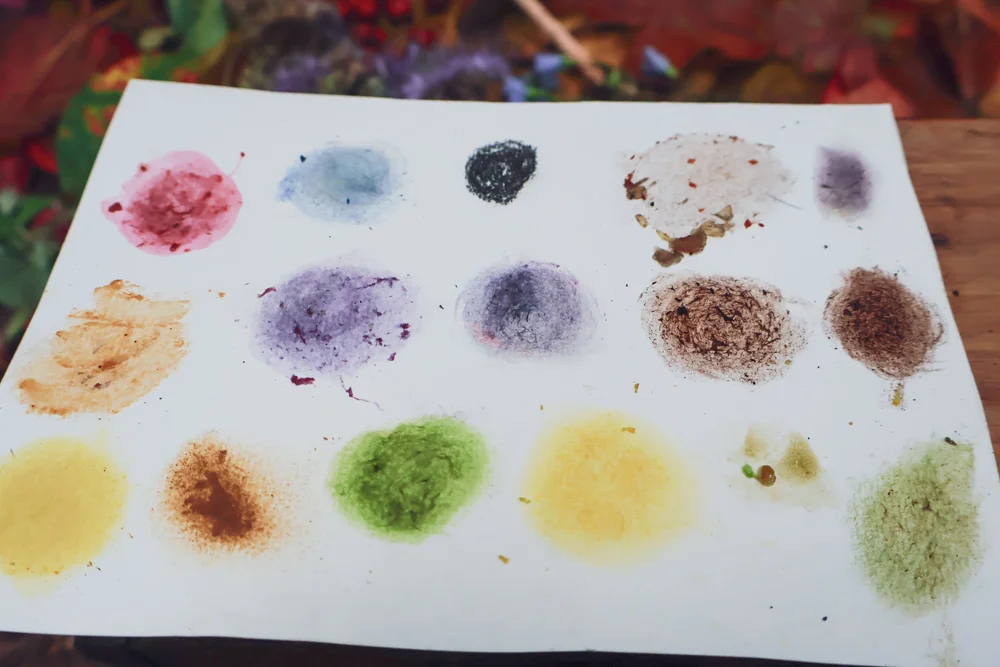 Pflanzenfarben im Herbst