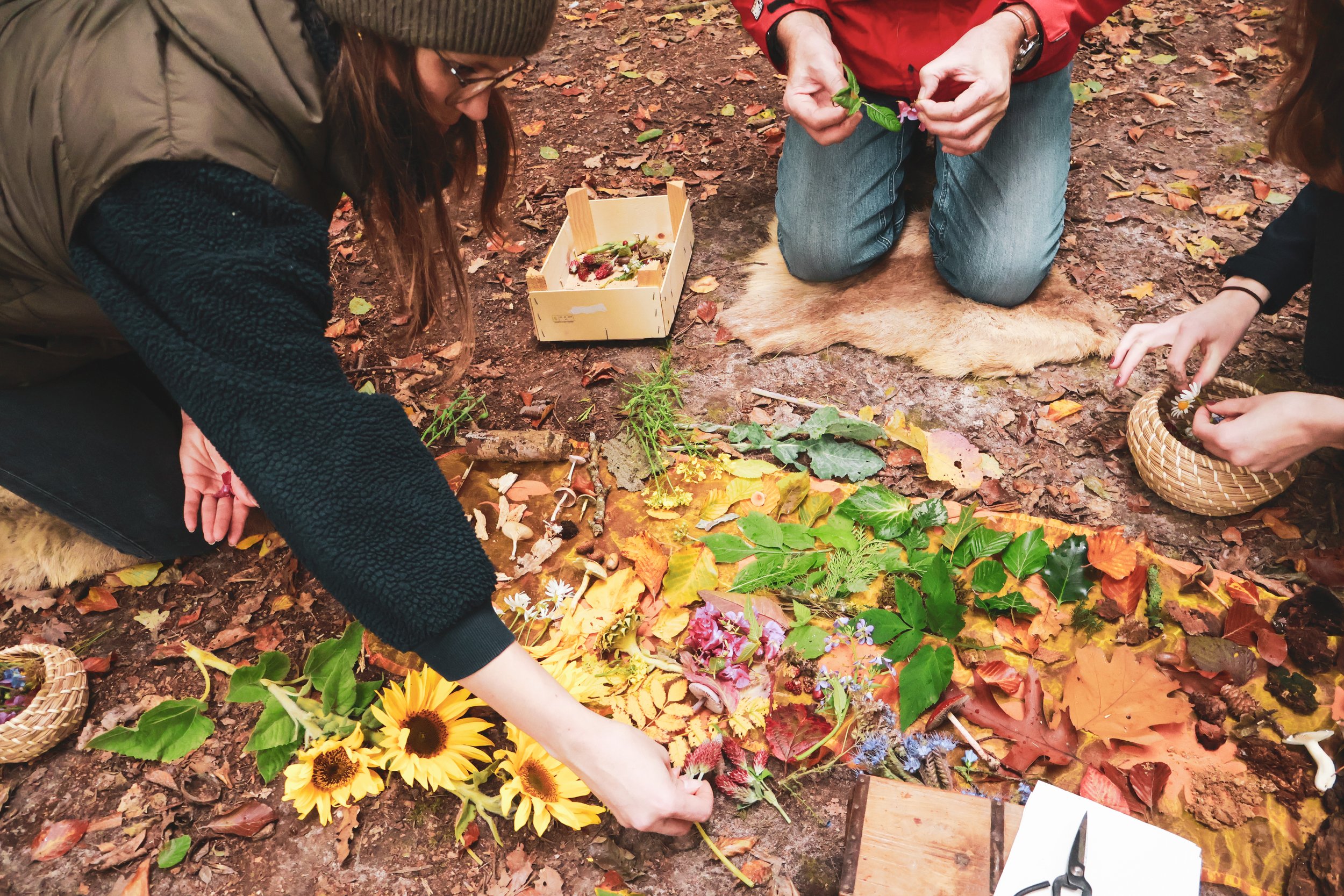 Herbstfarben entdecken -Kunstkurs in der Natur in Syke
