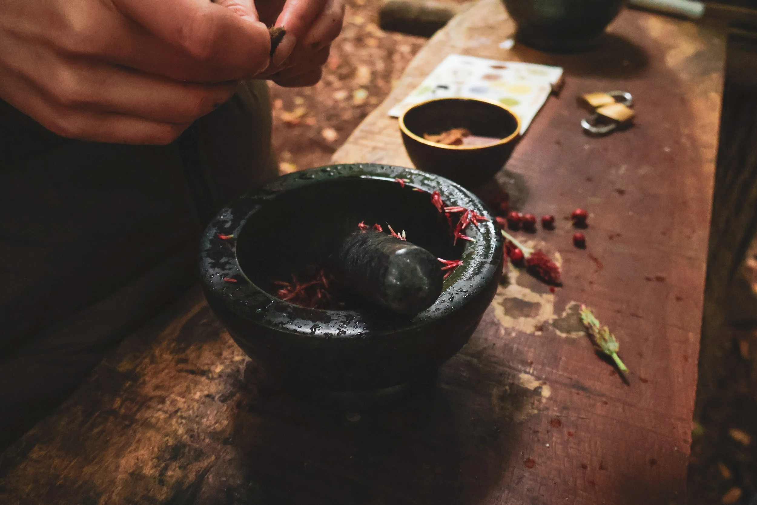 Naturkunstkurs Syke- Rote Farbe aus Beeren und Blüten im Mörser herstellen