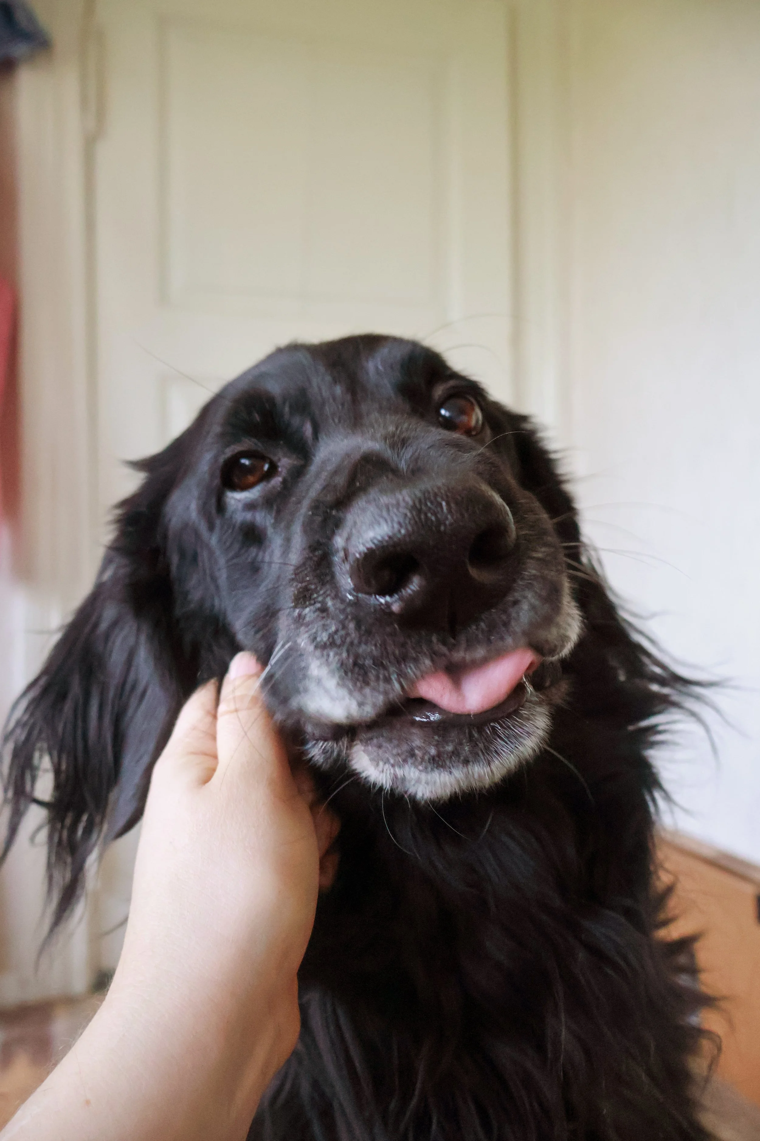 IMG_6605.jpeg (Kopie)