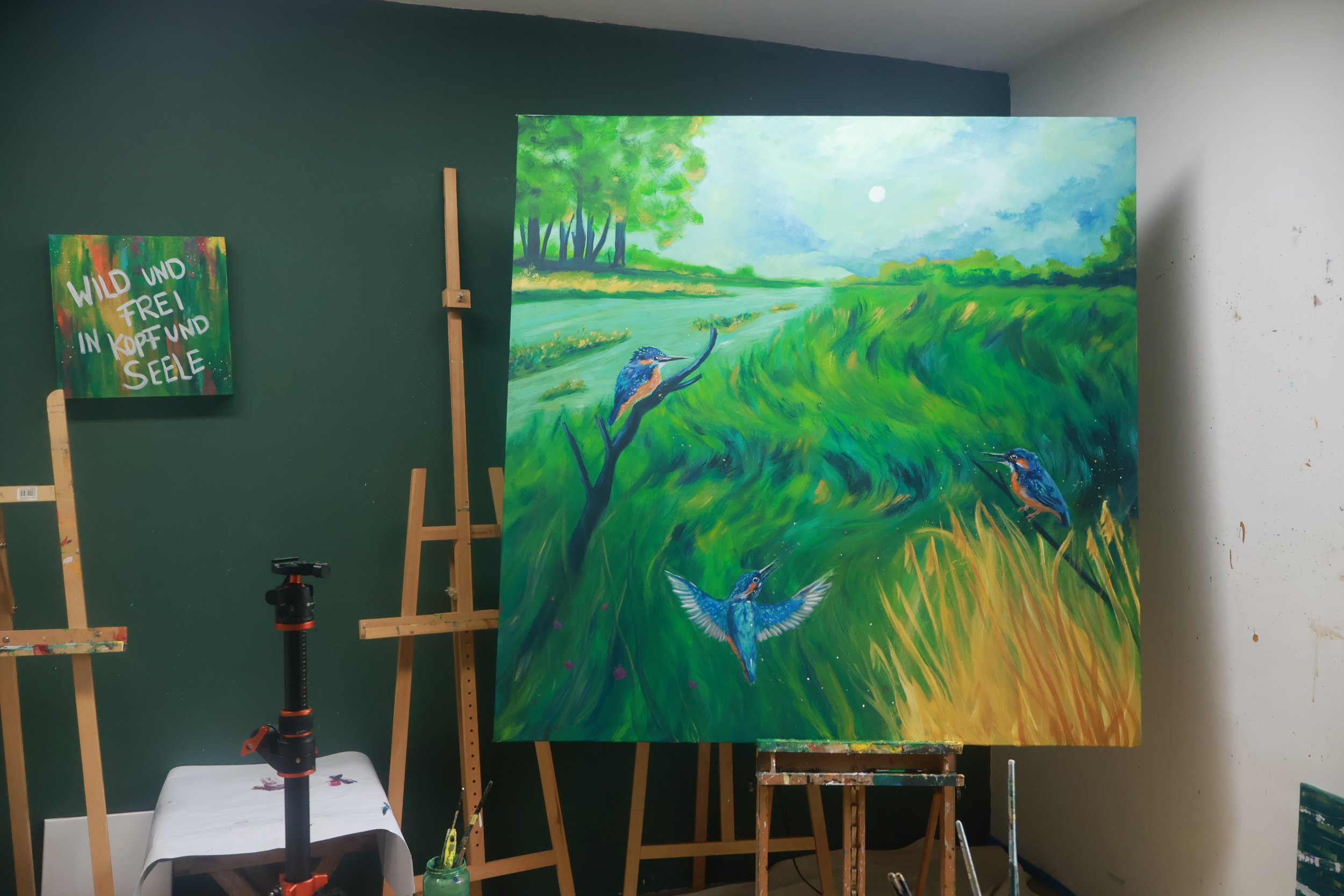 spirituelles Tierbild Eisvogel Bedeutung