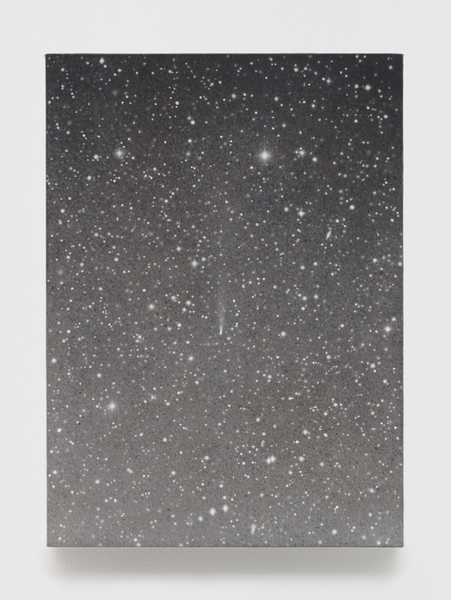 Vija Celmins, Untitled (Falling Star), 2016. Oil on canvas, 18 by 13 1/8 inches. Courtesy of the artist and Matthew Marks Gallery, New York.