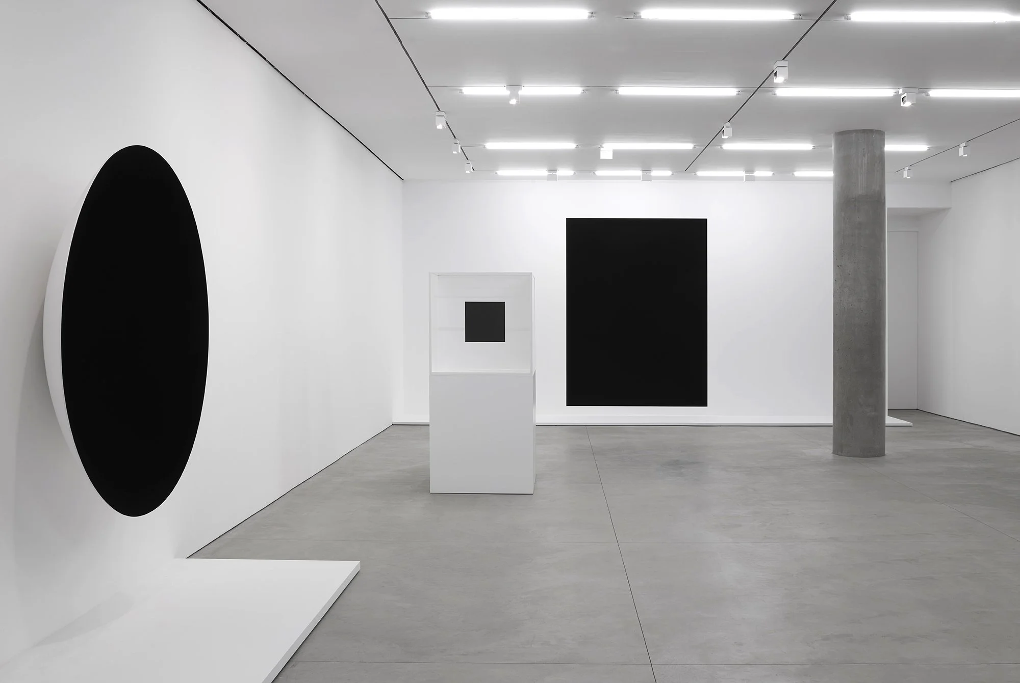 Anish Kapoor at Lisson Gallery,  New York