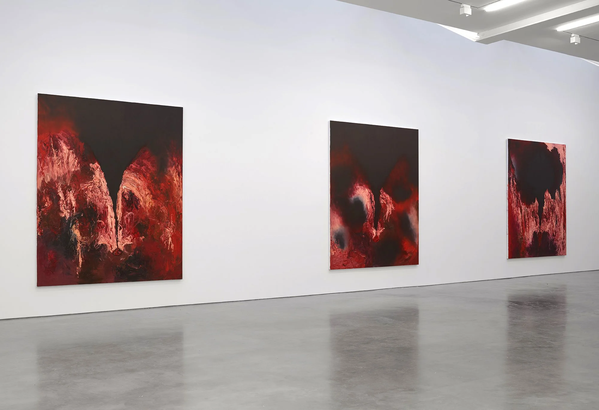 Anish Kapoor at Lisson Gallery,  New York