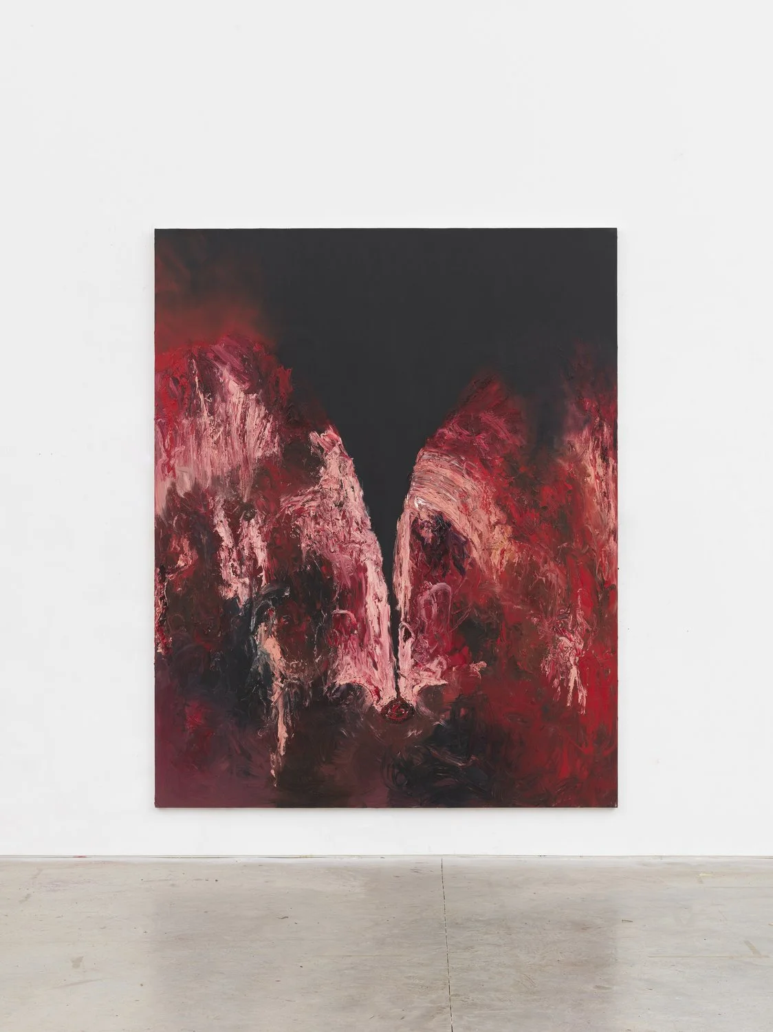 Image 6 Anish Kapoor by Raphy Sarkissian.jpeg