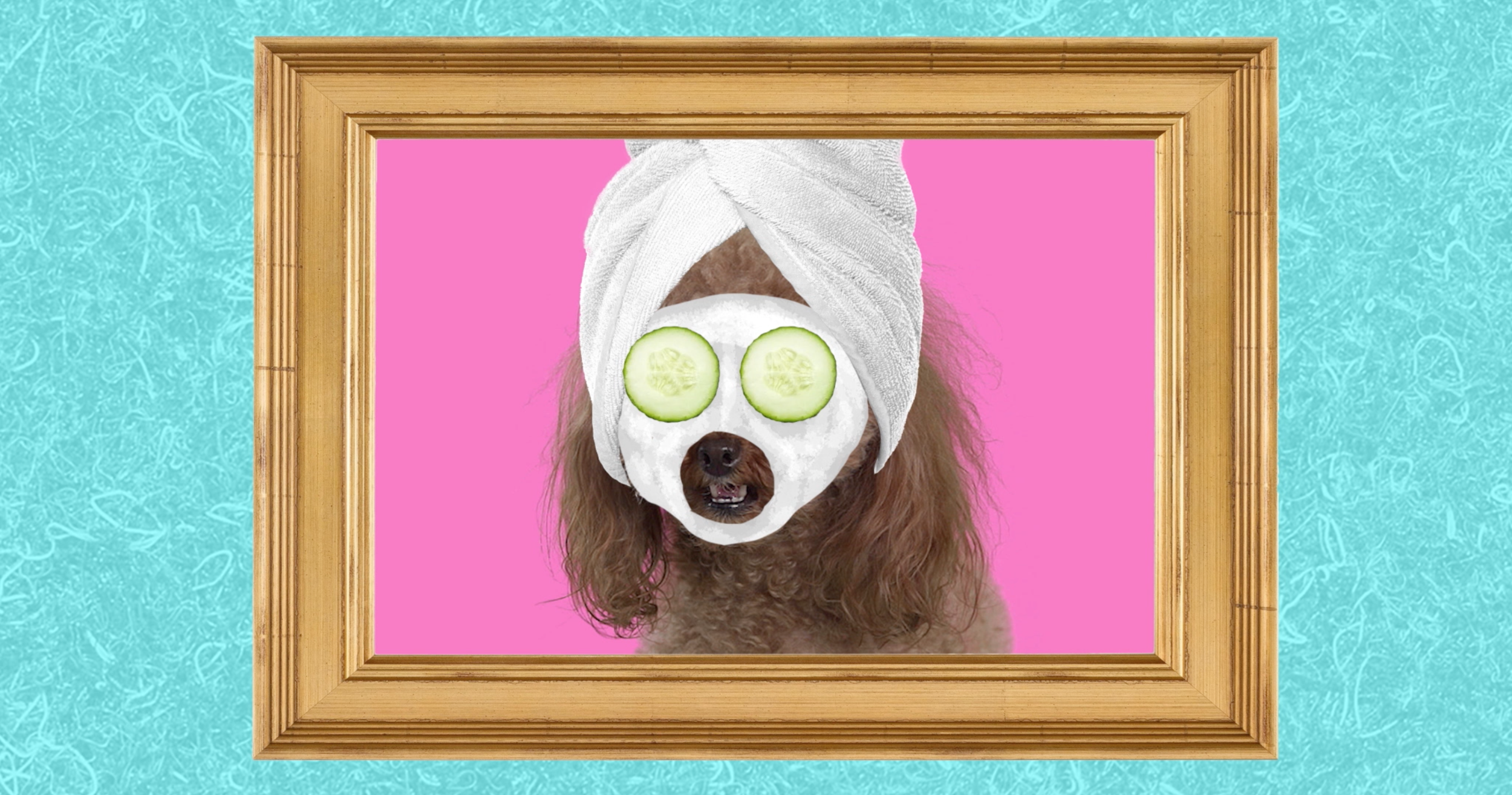 Screen Shot 2022-03-01 at 4.51.24 PM.png