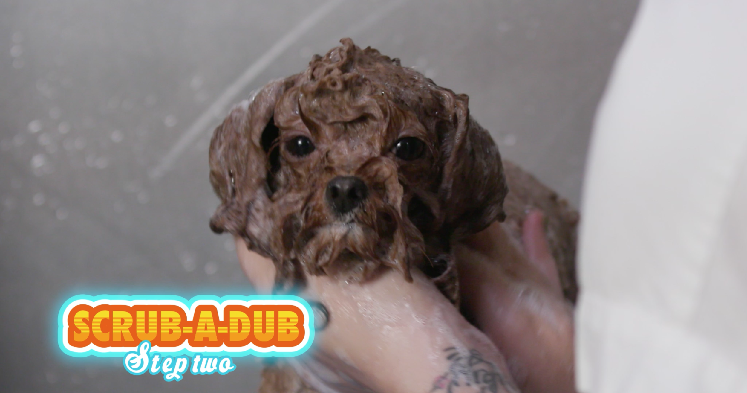 Screen Shot 2022-03-01 at 4.55.05 PM.png