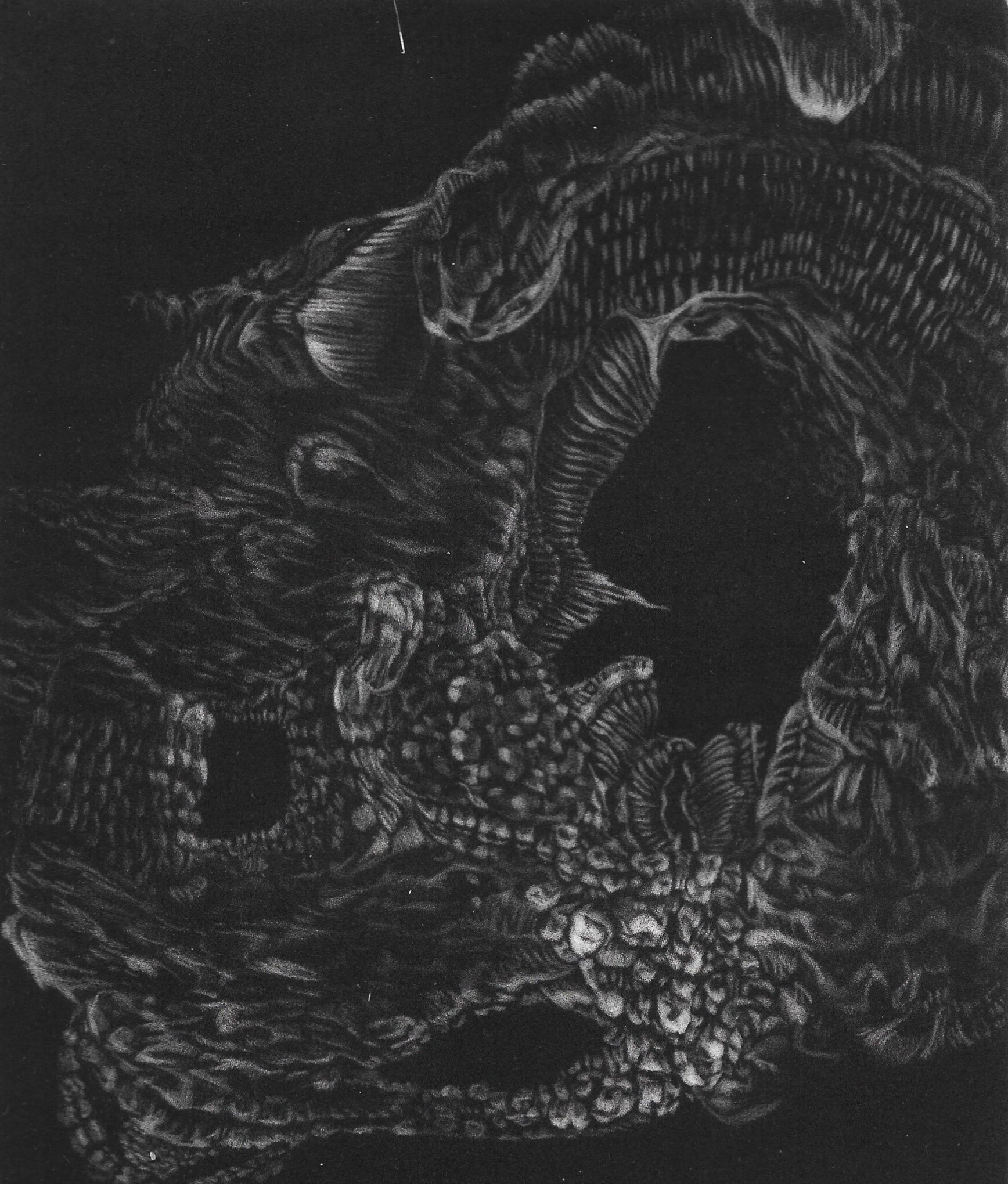 Deplorable Reflex, 11" x 9". Mezzotint. 2021.