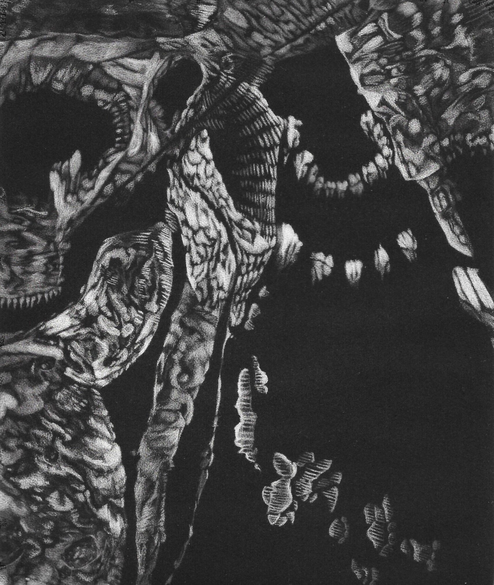 Cavities Left Wanting, 11" x 9". Mezzotint. 2021.