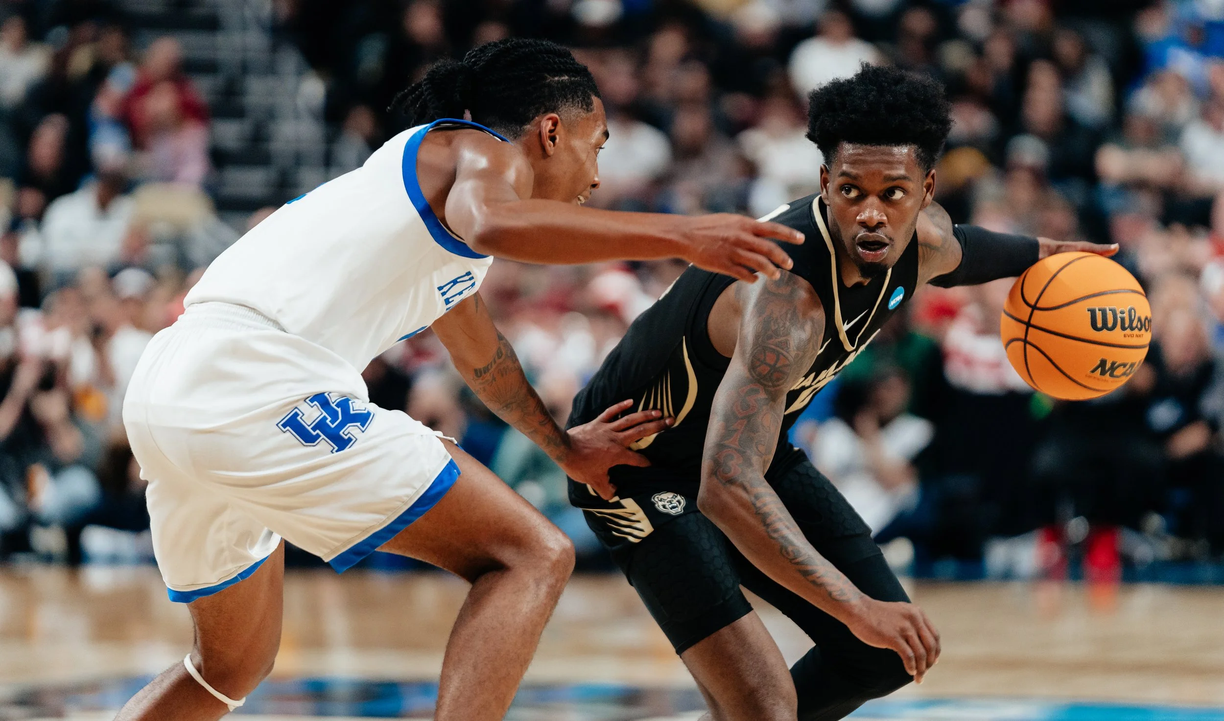 DSC00978.jpg