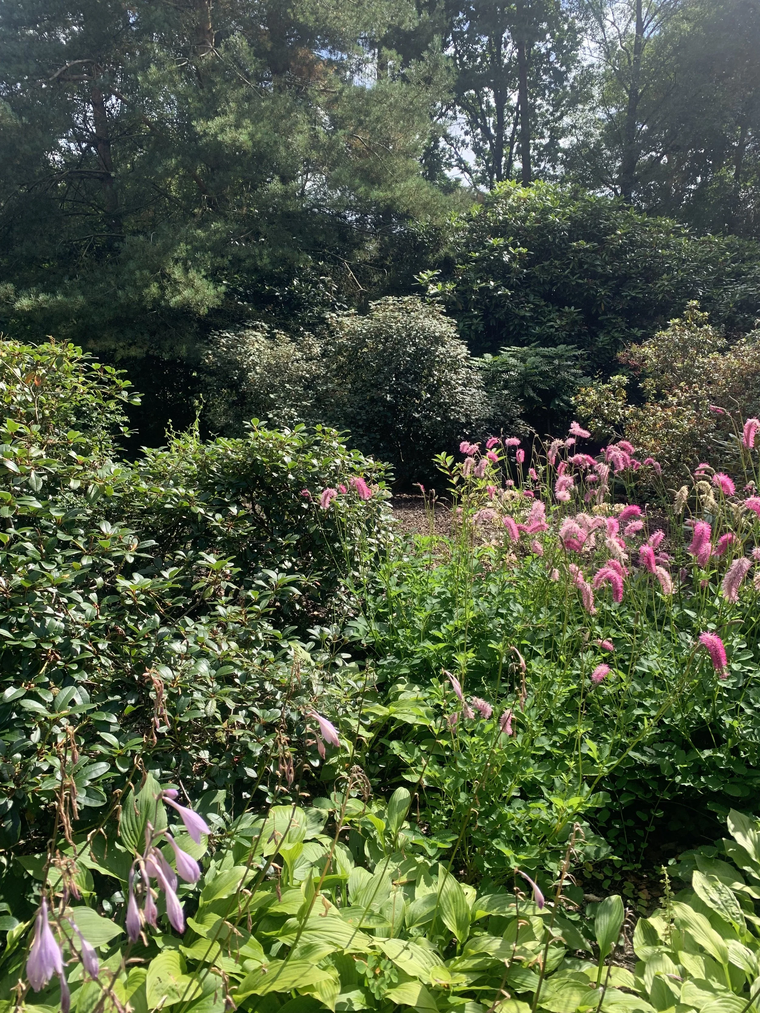 Lyme Park - cheshire - stockport