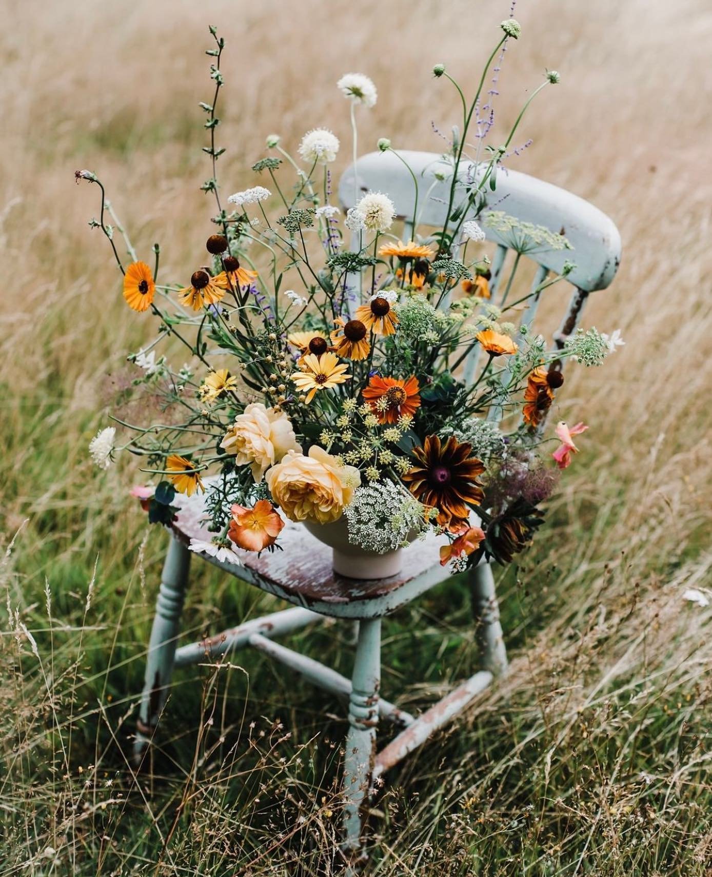 Fan de cet atmosph&egrave;re automnal.
Cr&eacute;dit photo : @jannelford.  #flowerinspiration #autumnvibes🍁 #instamood #herbae #flowerphotography