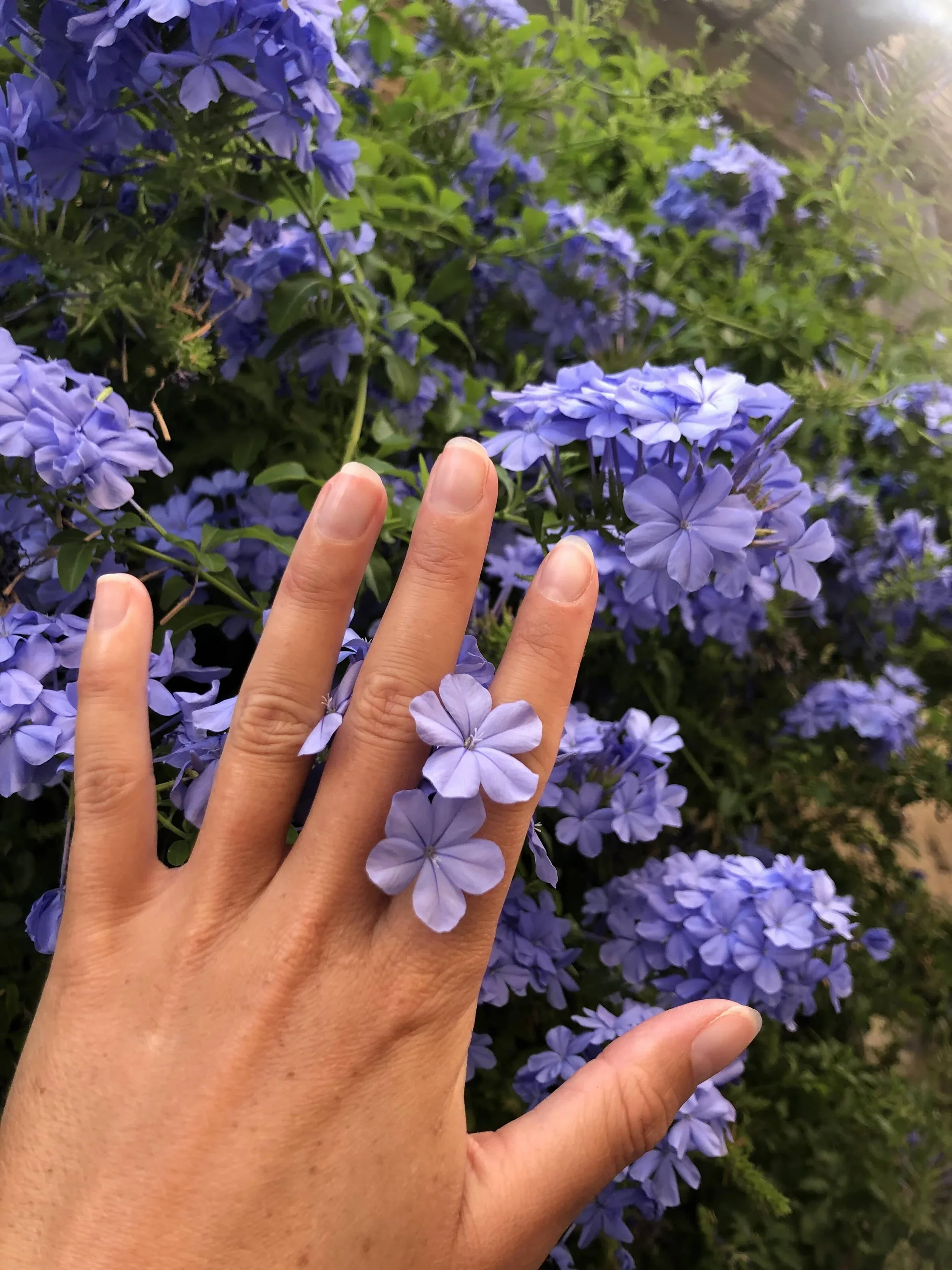 Retraite créative - du 12 au 14 Juin 2026