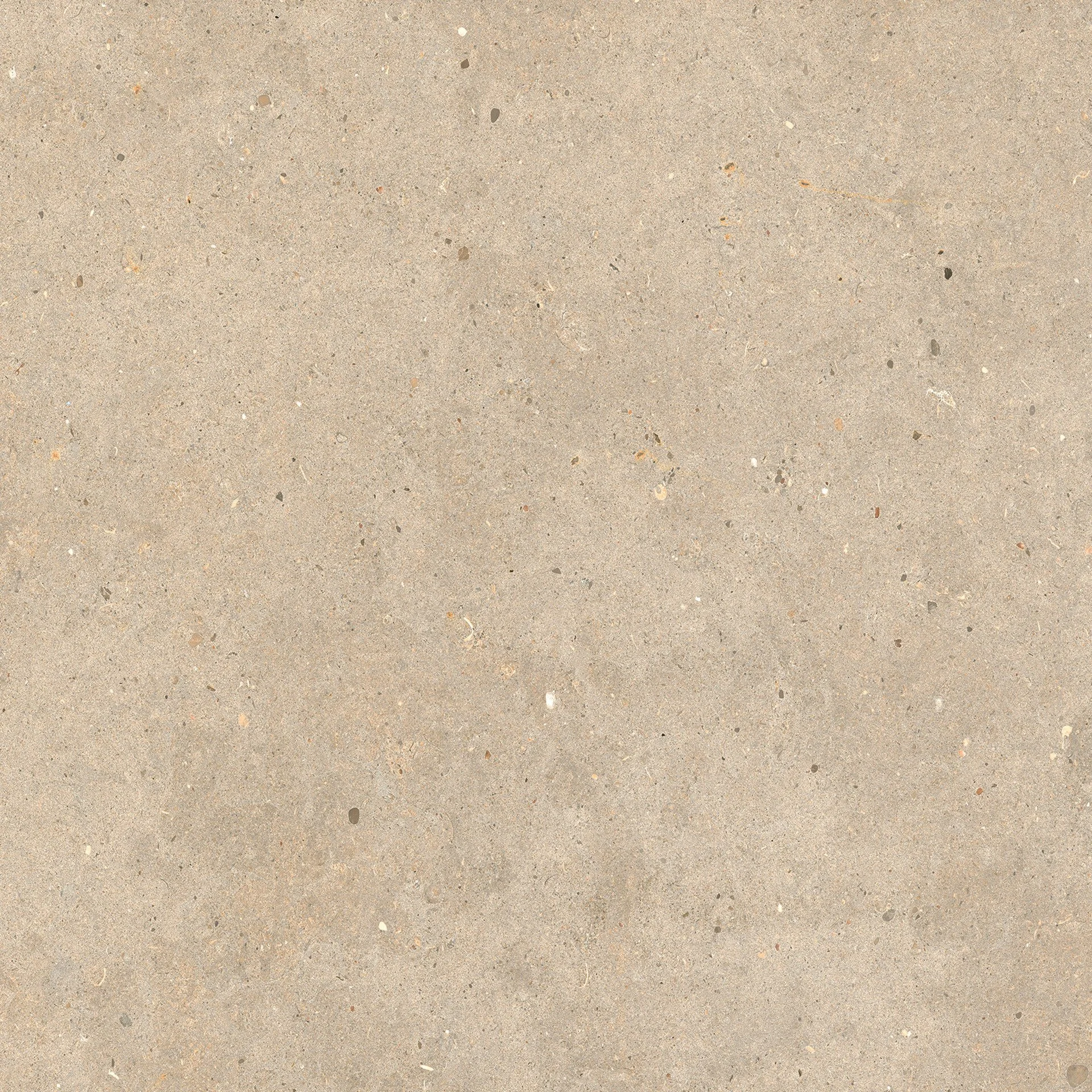 ELYSIAN_EY09_GOLD_CATALAN.jpg
