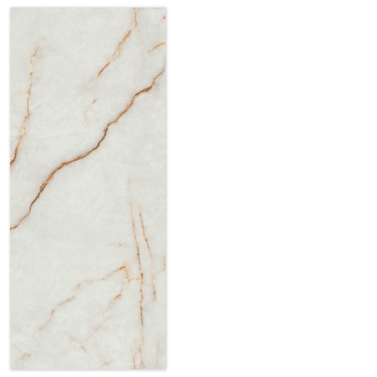 フットケア Glamorous Air TRINTY Gymnastics Leotard by Mondor In Neon Pop Print - Youth