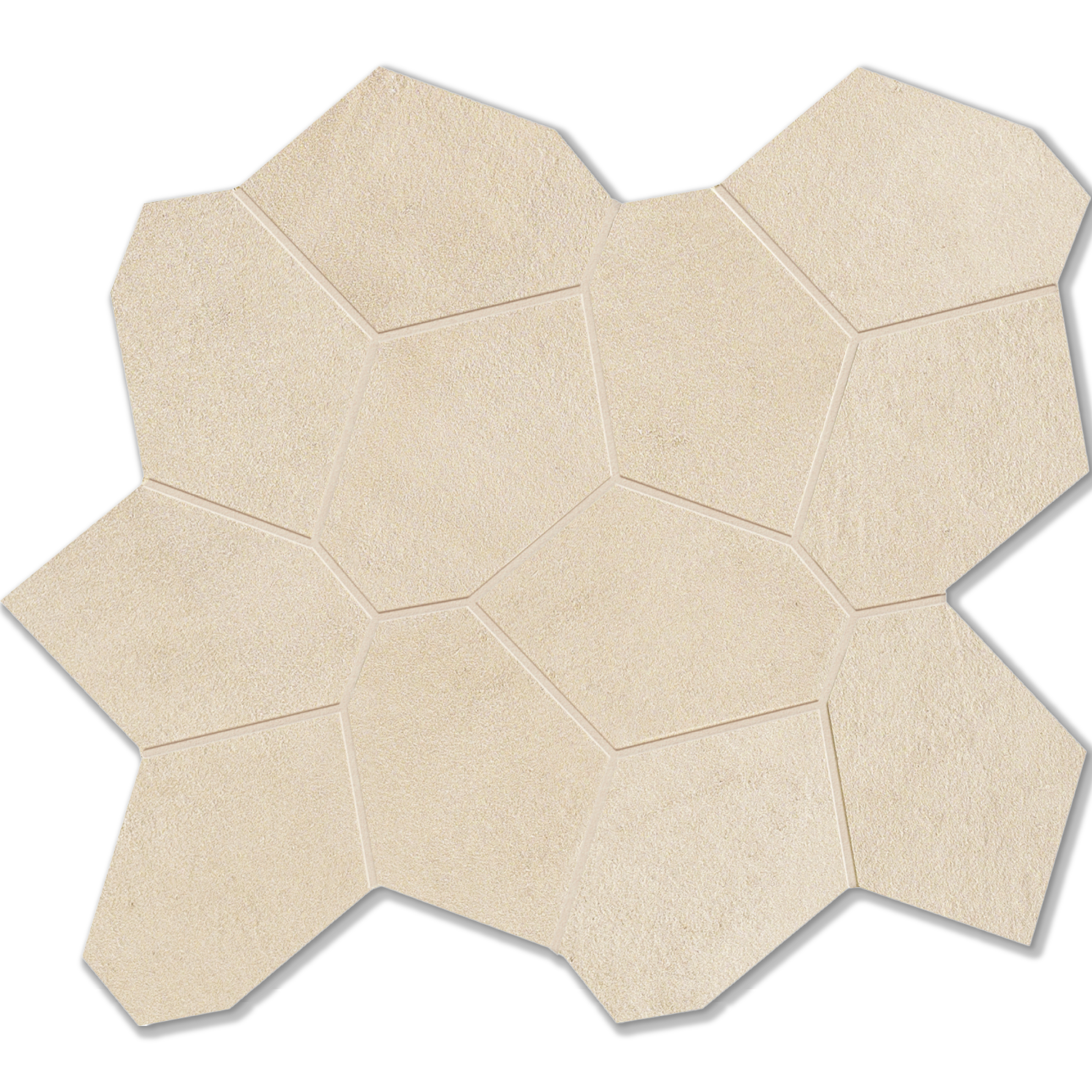 turtle-beige-large.png