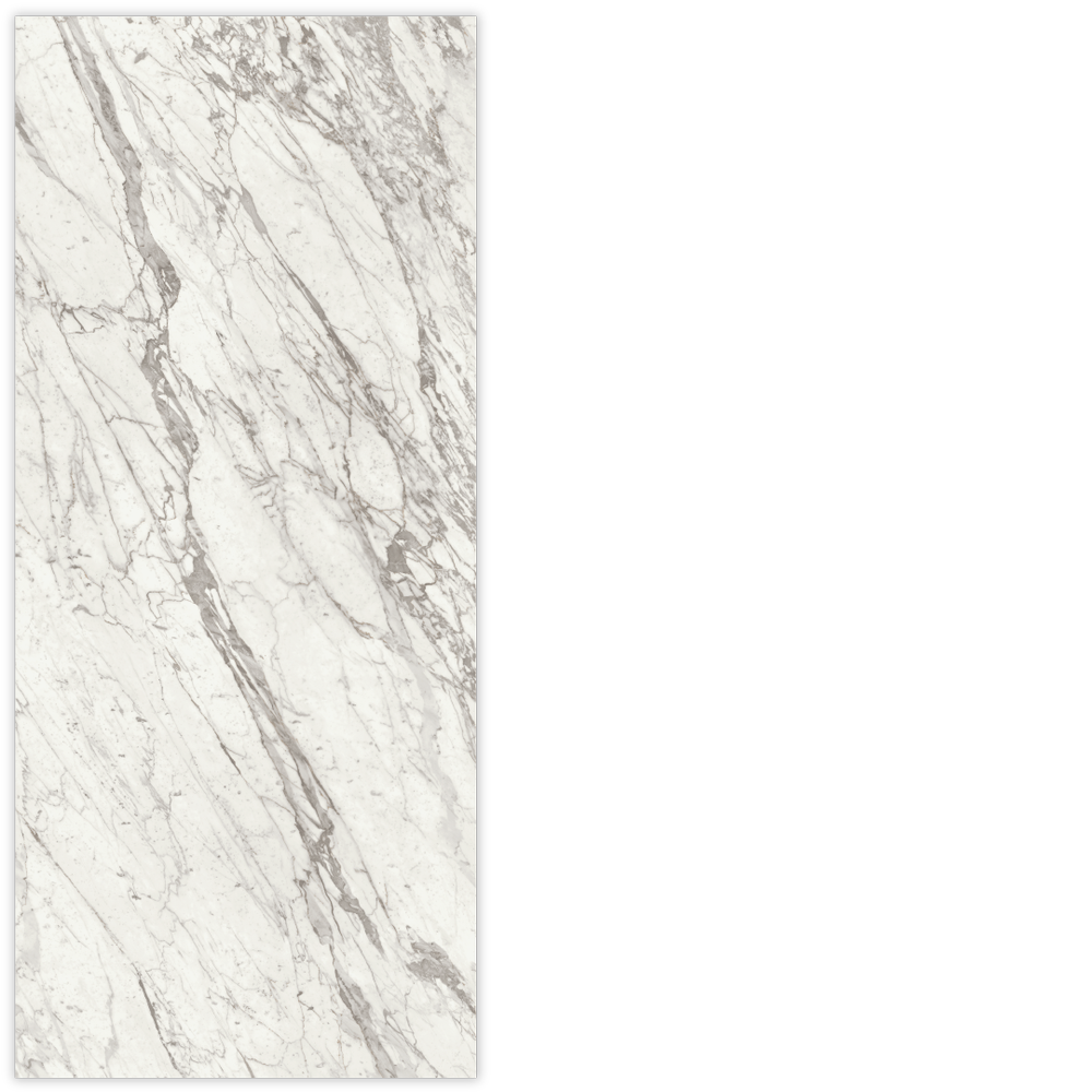 その他 ZCWO SUPER PROFESSIONAL XL // MARBLE ZCWO Fools