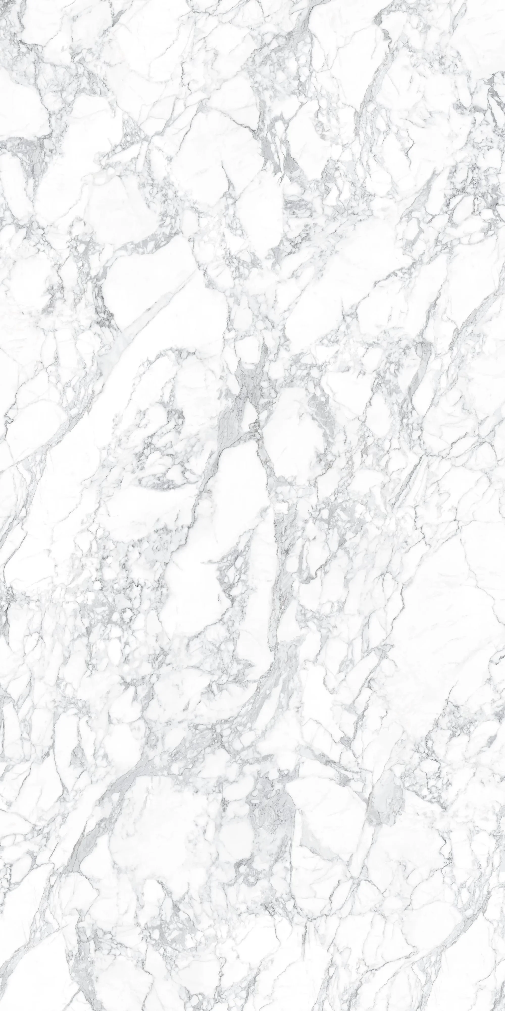 arabescato-polished-1.jpeg