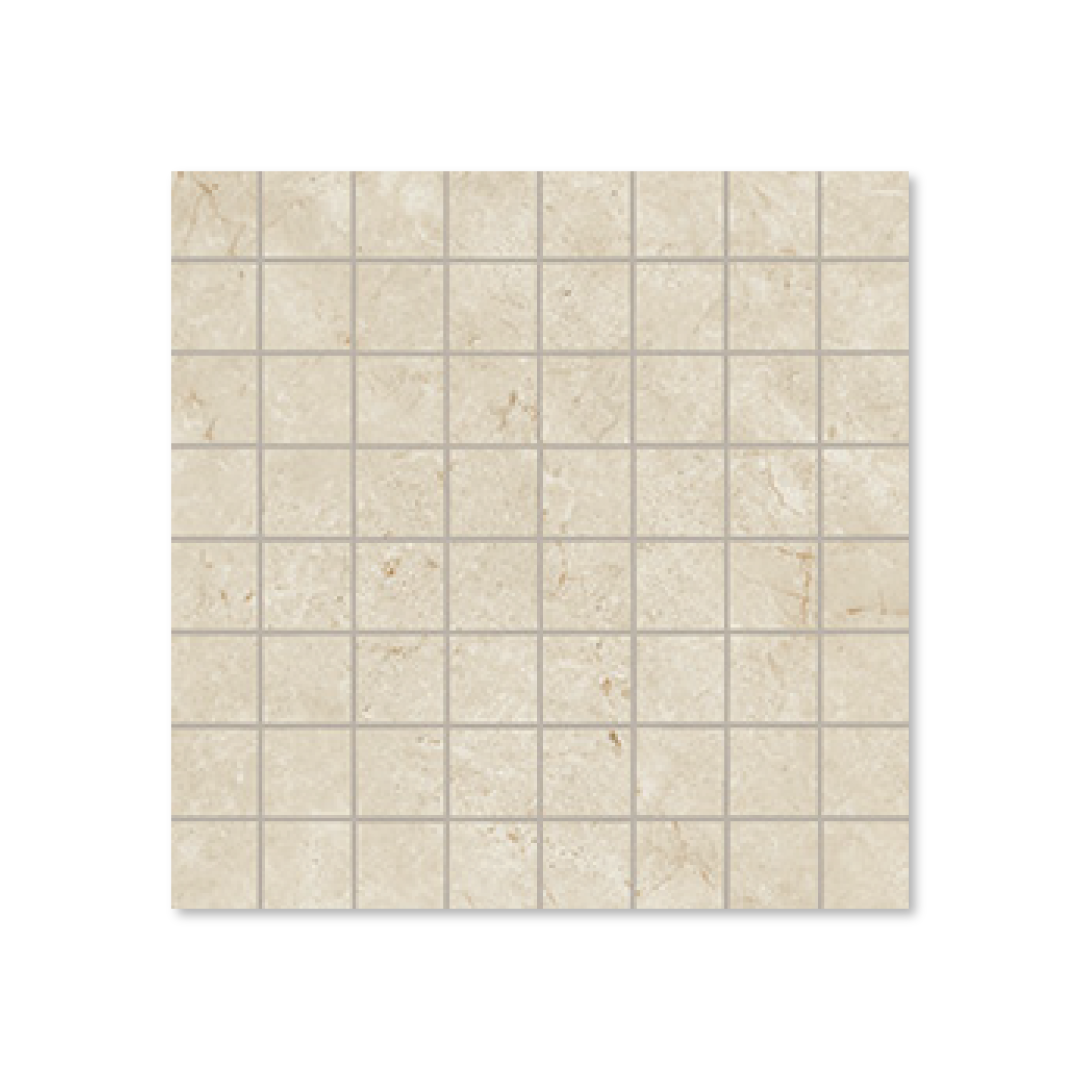MSCRMOS-LRG.png