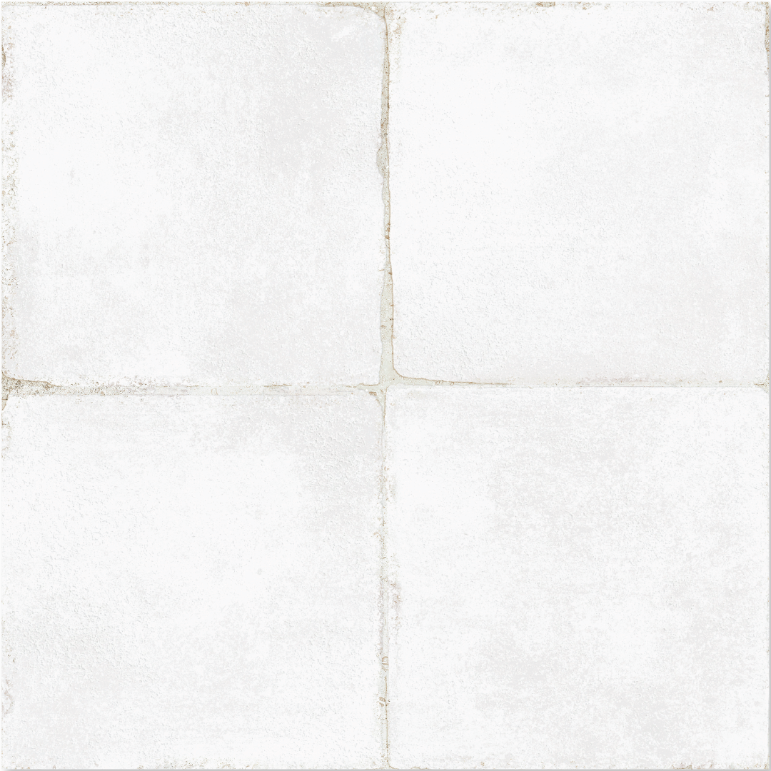 Rajola_WHITE-FULL-PATTERN.png