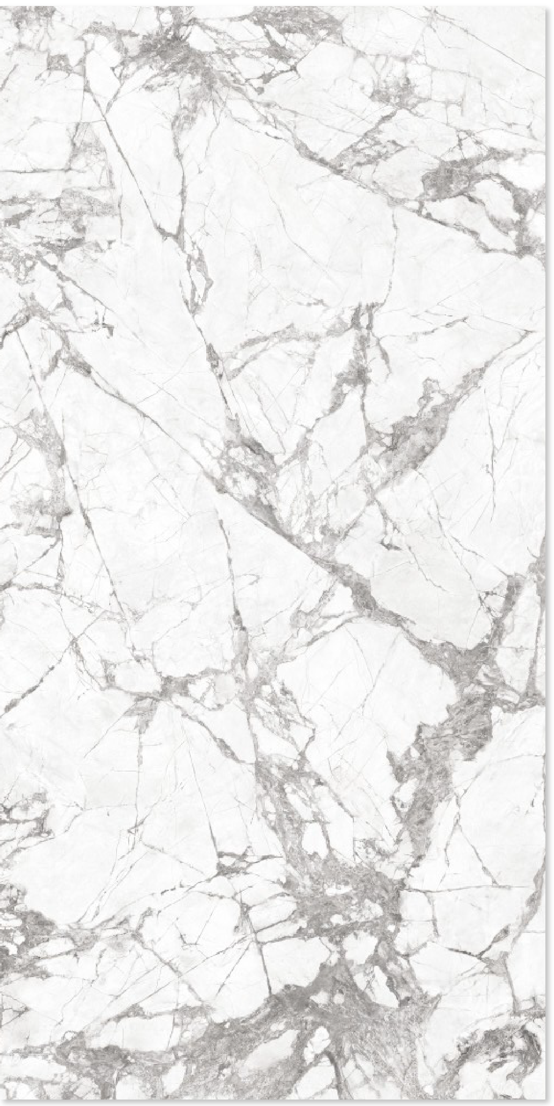 inaturali_invisible white.png