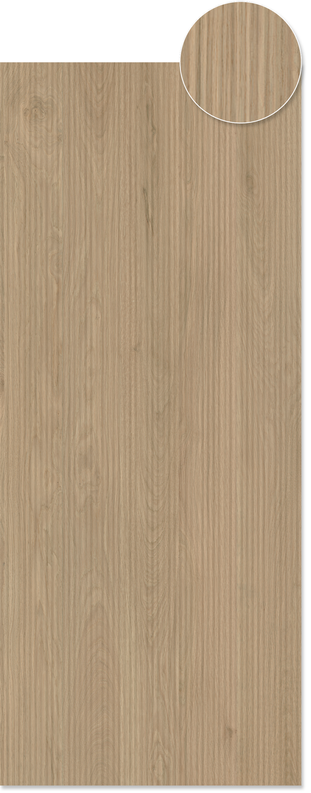 Log Porcelain Tile — Crafted in Italy — Julian Tile