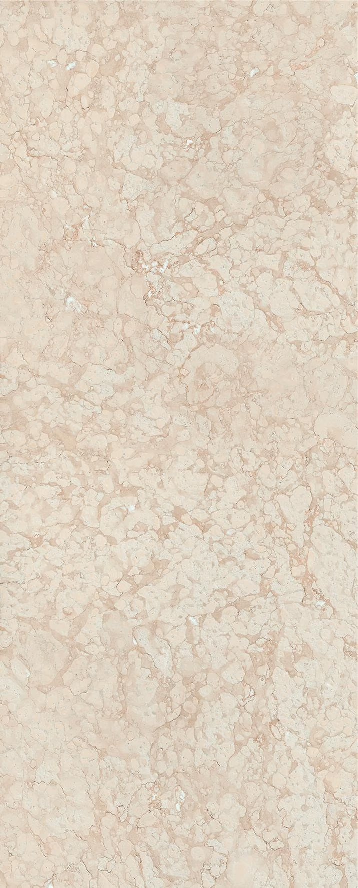 perlino-rosa-dna-2.jpeg