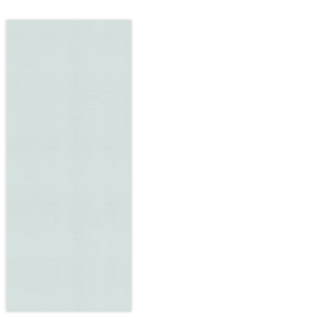 VETEPA48111---Elephant-Panna.png