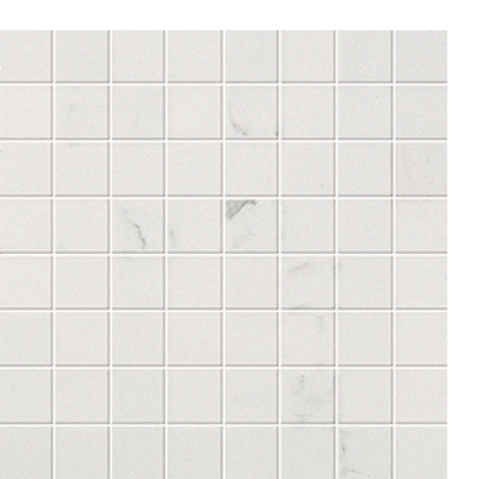 MVCAMOSN-LARGE.png