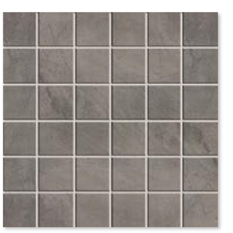 DSFM04-LARGE.png