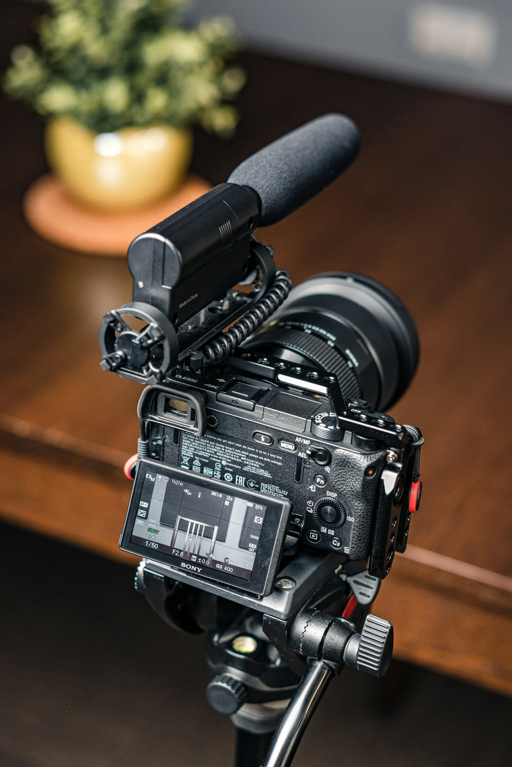 A professional DSLR camera mounted on a tripod, equipped with a microphone on top, and a display screen showing camera settings, placed on a wooden surface with a blurred background of a plant.