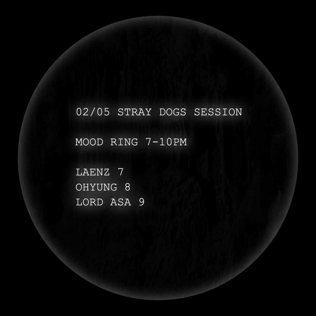 [happy hour] STRAY DOGS SESSION