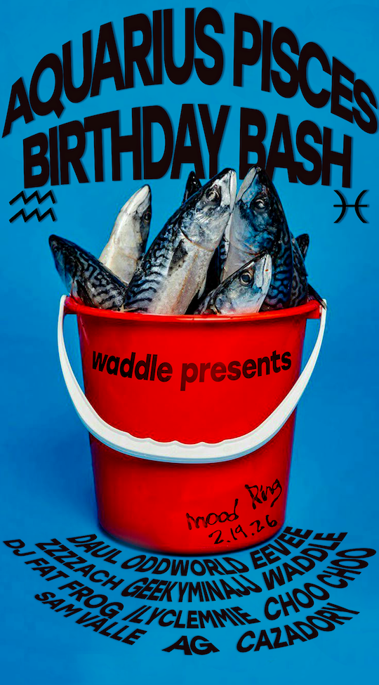 AQUARIUS PISCES BIRTHDAY BASH