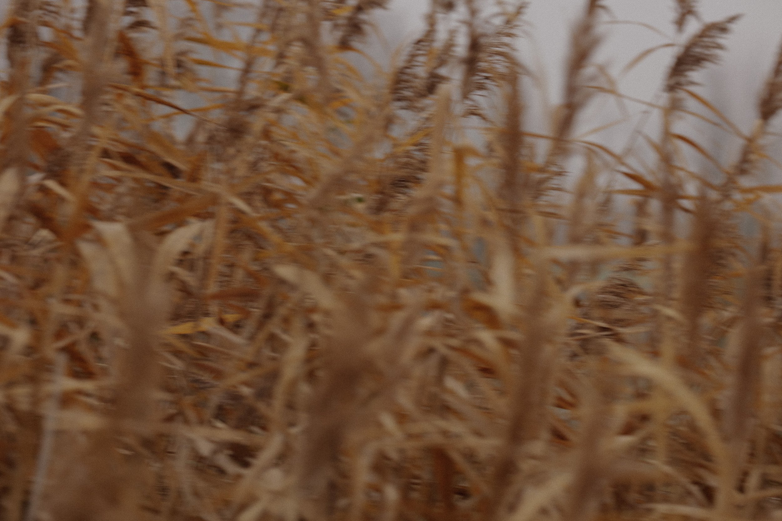 TEST_NEBEL_WEB_003.jpg