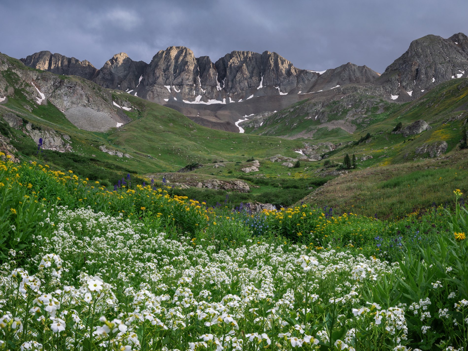Mountain landscape with green meadows, colorful wildflowers, and towering rocky peaks under a cloudy sky.