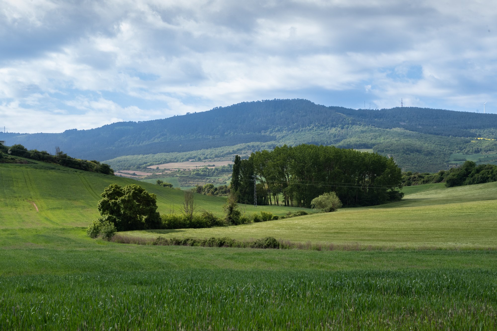 Lush green hills.jpg