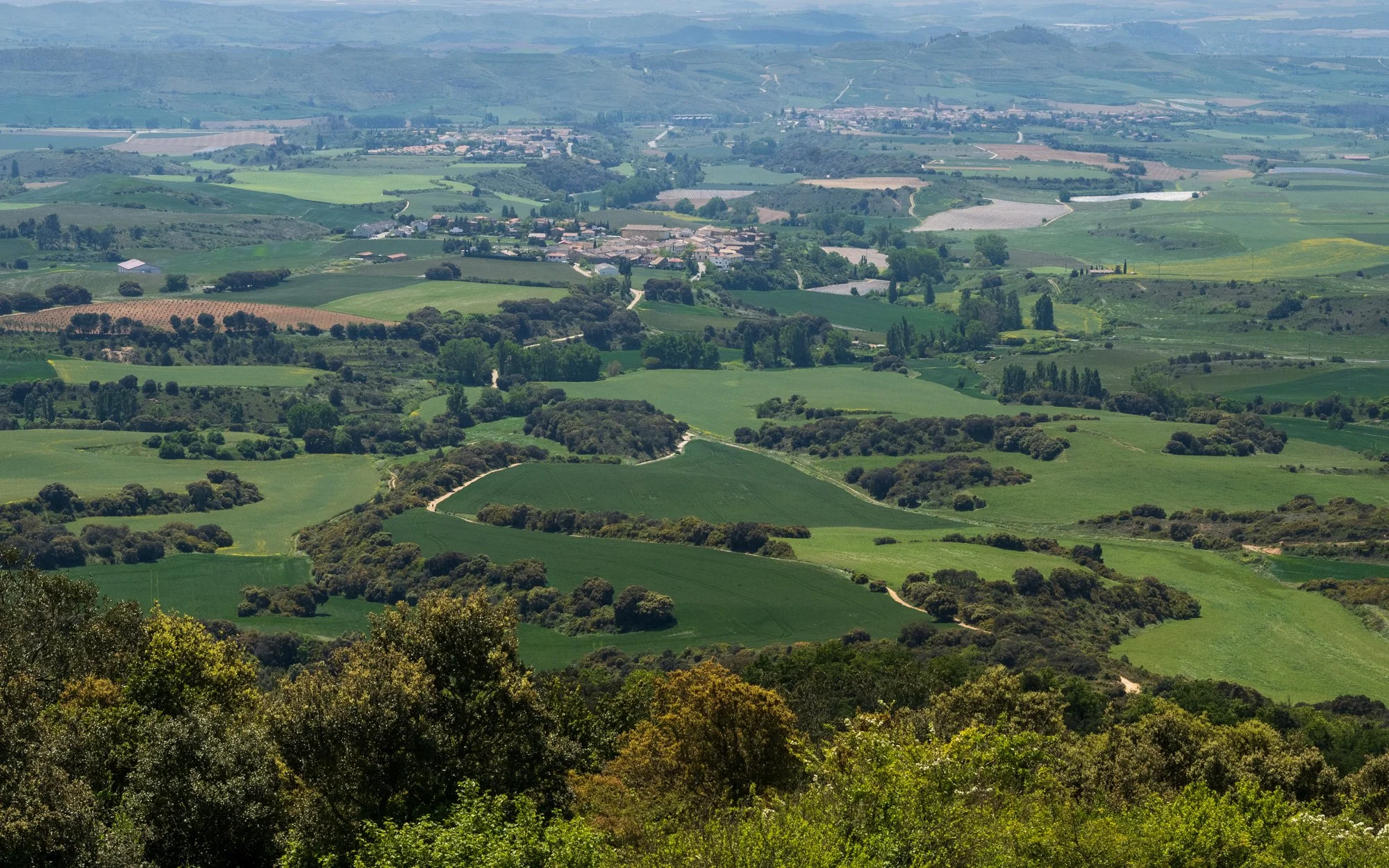 Views of Roncesvalles from above.jpg