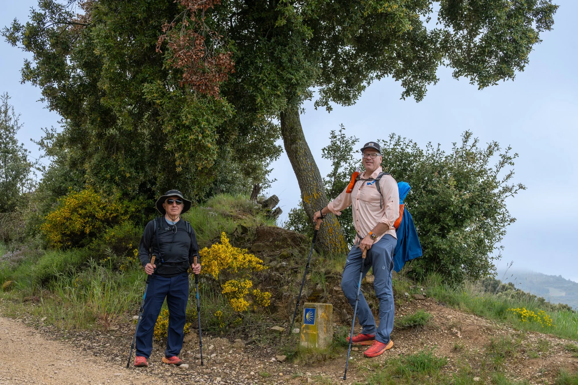 Two guys standing by a tree on a trail.jpg