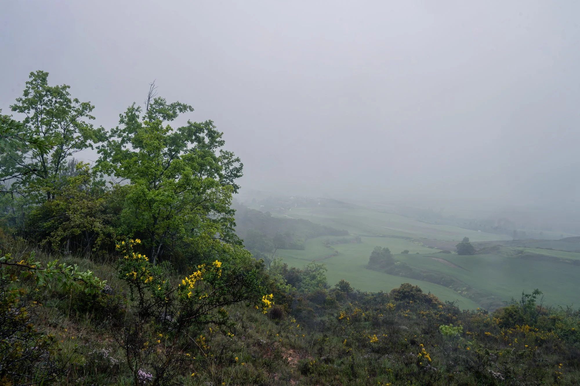Foggy landscape in Spain.jpg