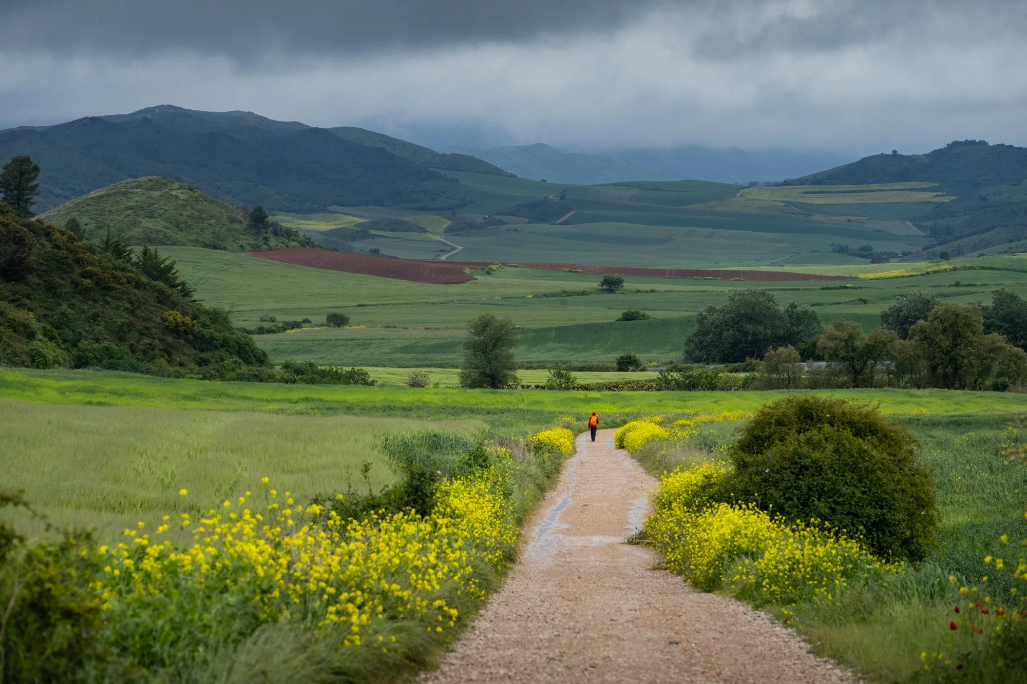 Camino de Santiago - A walk of a lifetime