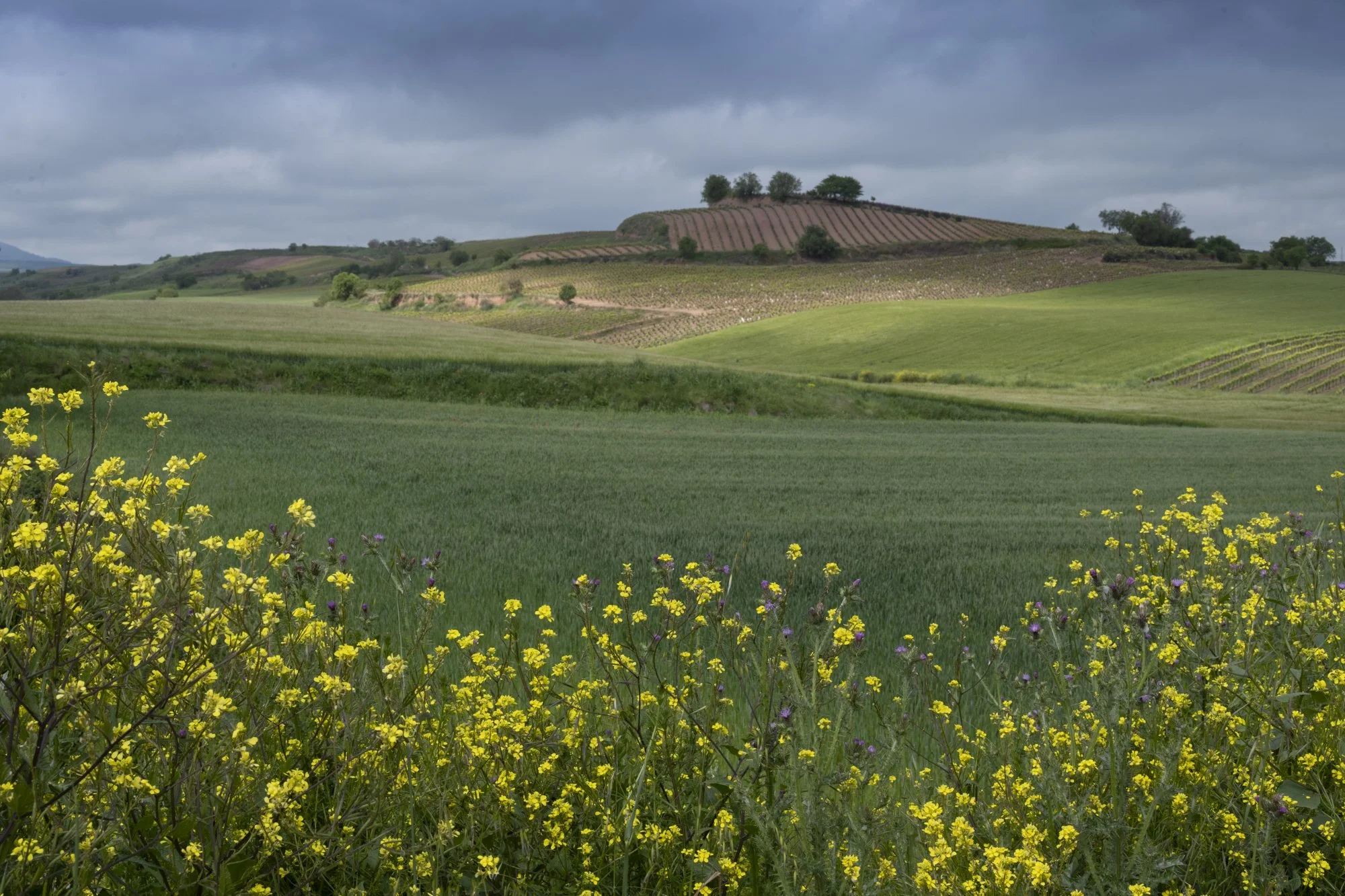 Views along the trail