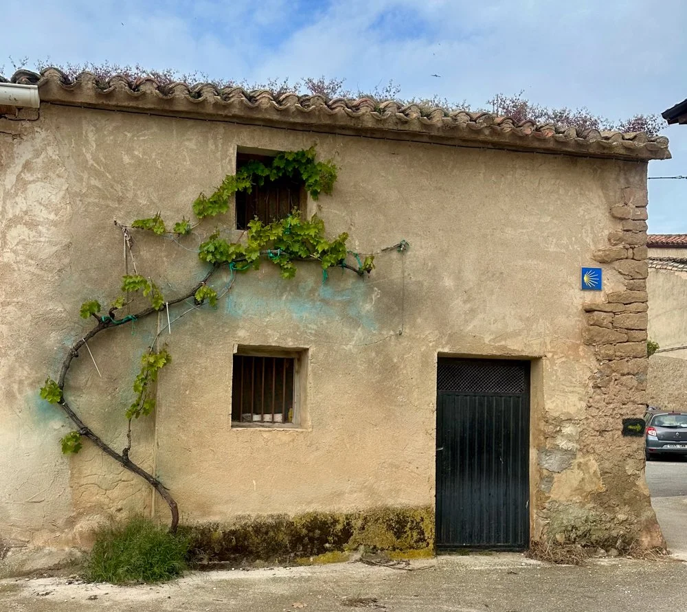 Camino signs on houses