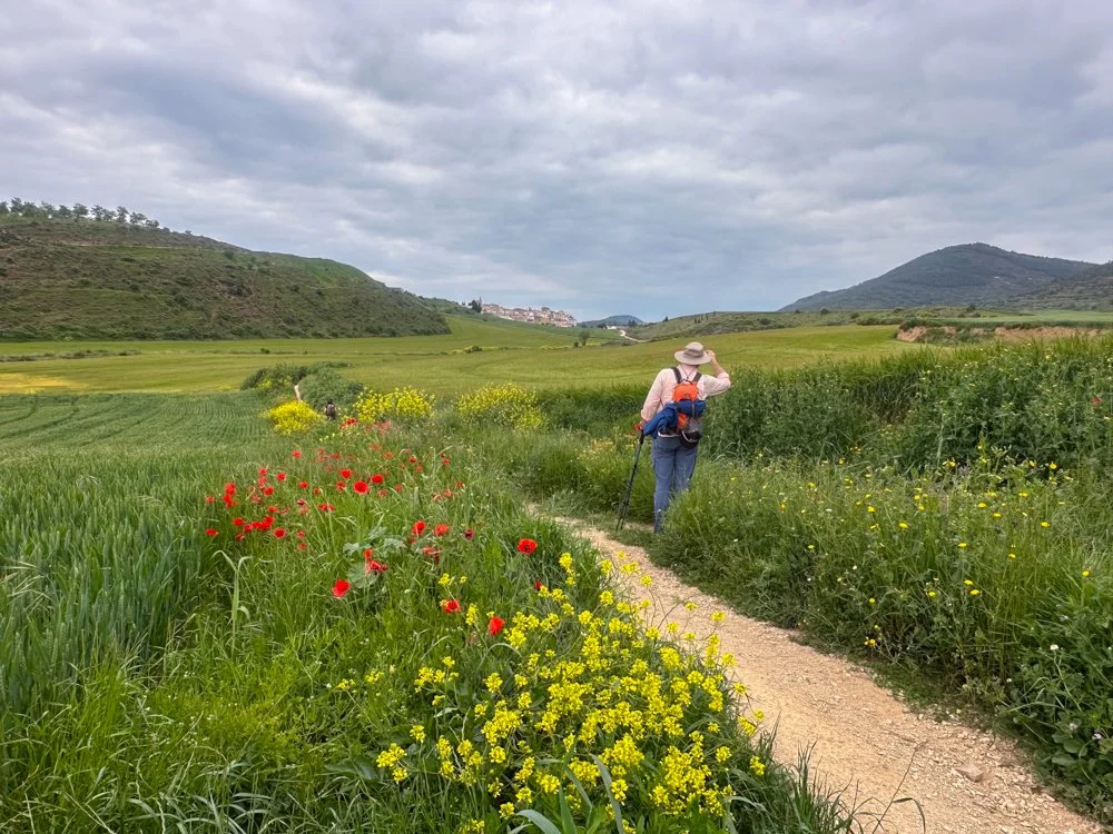 Trails lined with wildflowers