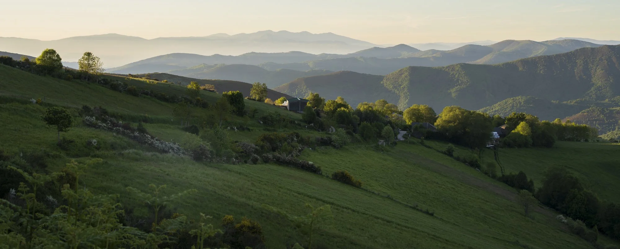 Camino de Santiago - Sarria