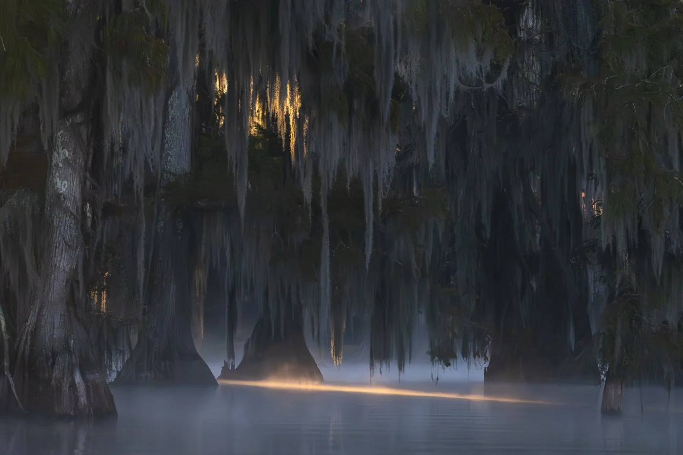 Art &amp; Photography During Tumultuous Times