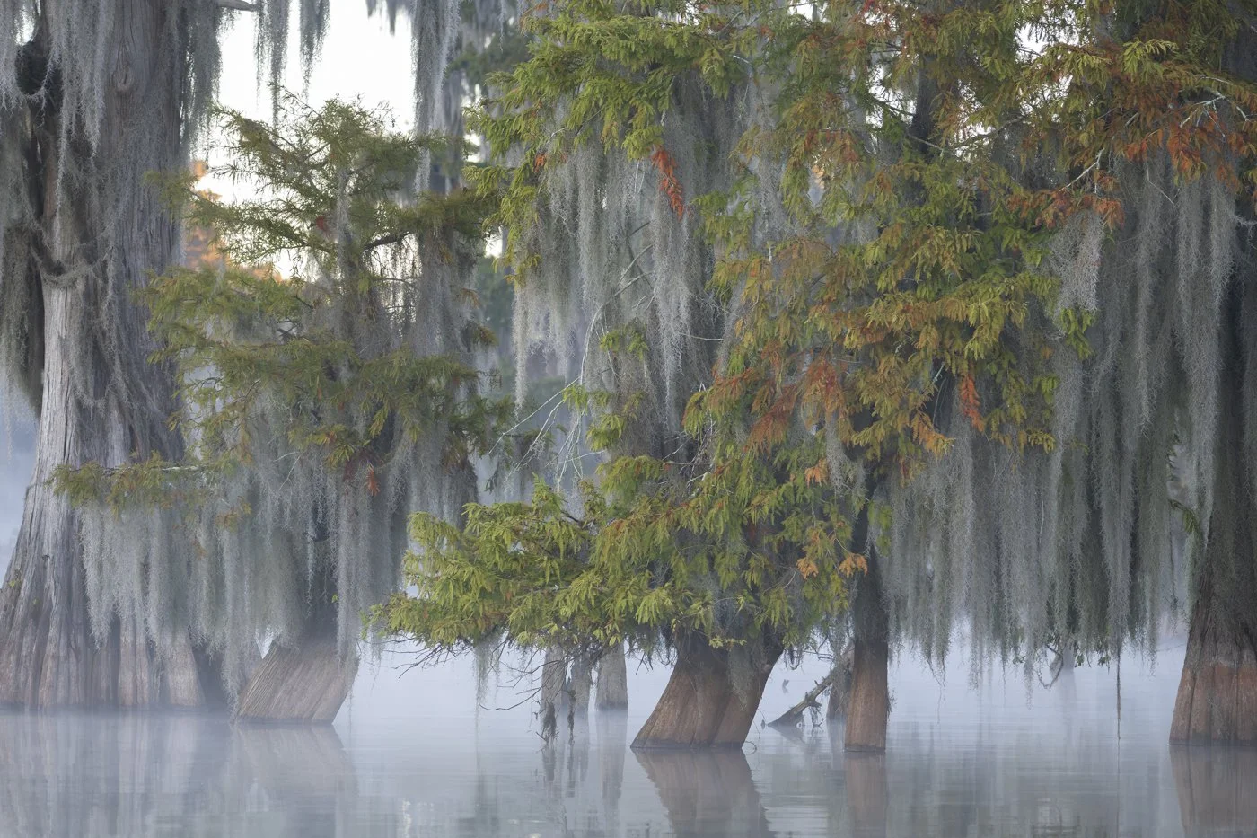 b_Bayou 2.jpg